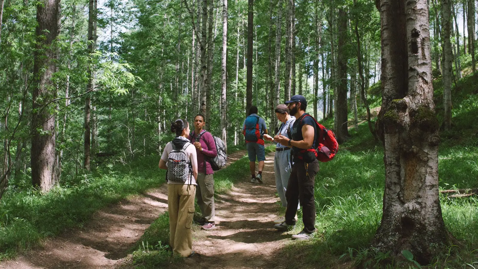 Guida escursionistica ferma su un sentiero nel bosco davanti a un piccolo gruppo di adulti con gli zaini che ascoltano, luce del mattino