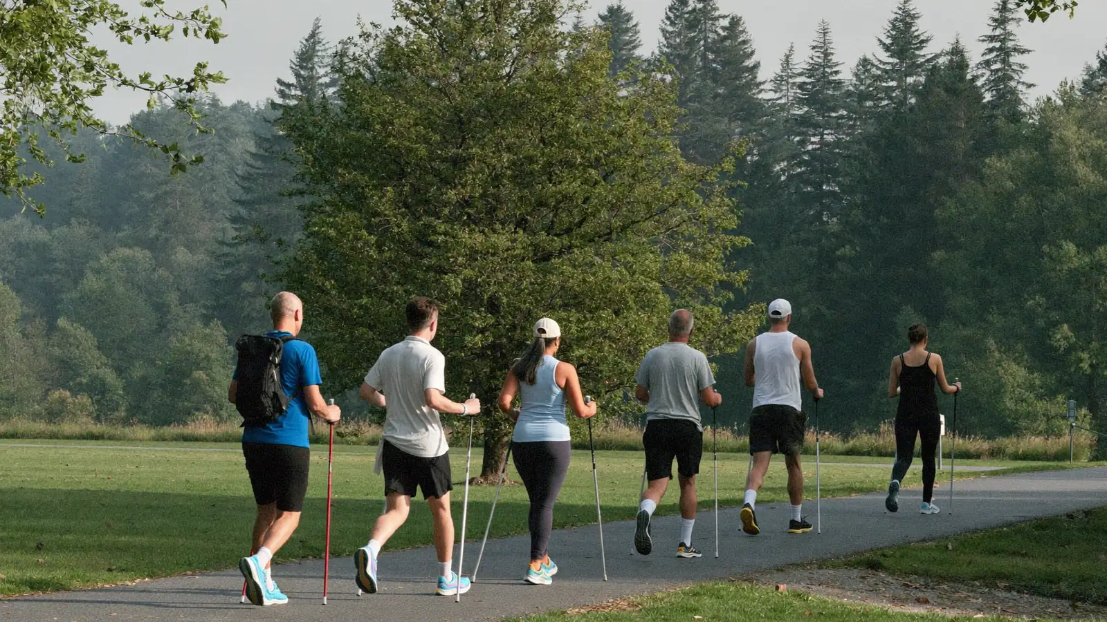 Gruppo di adulti cammina con i bastoncini da nordic walking lungo un sentiero al mattino